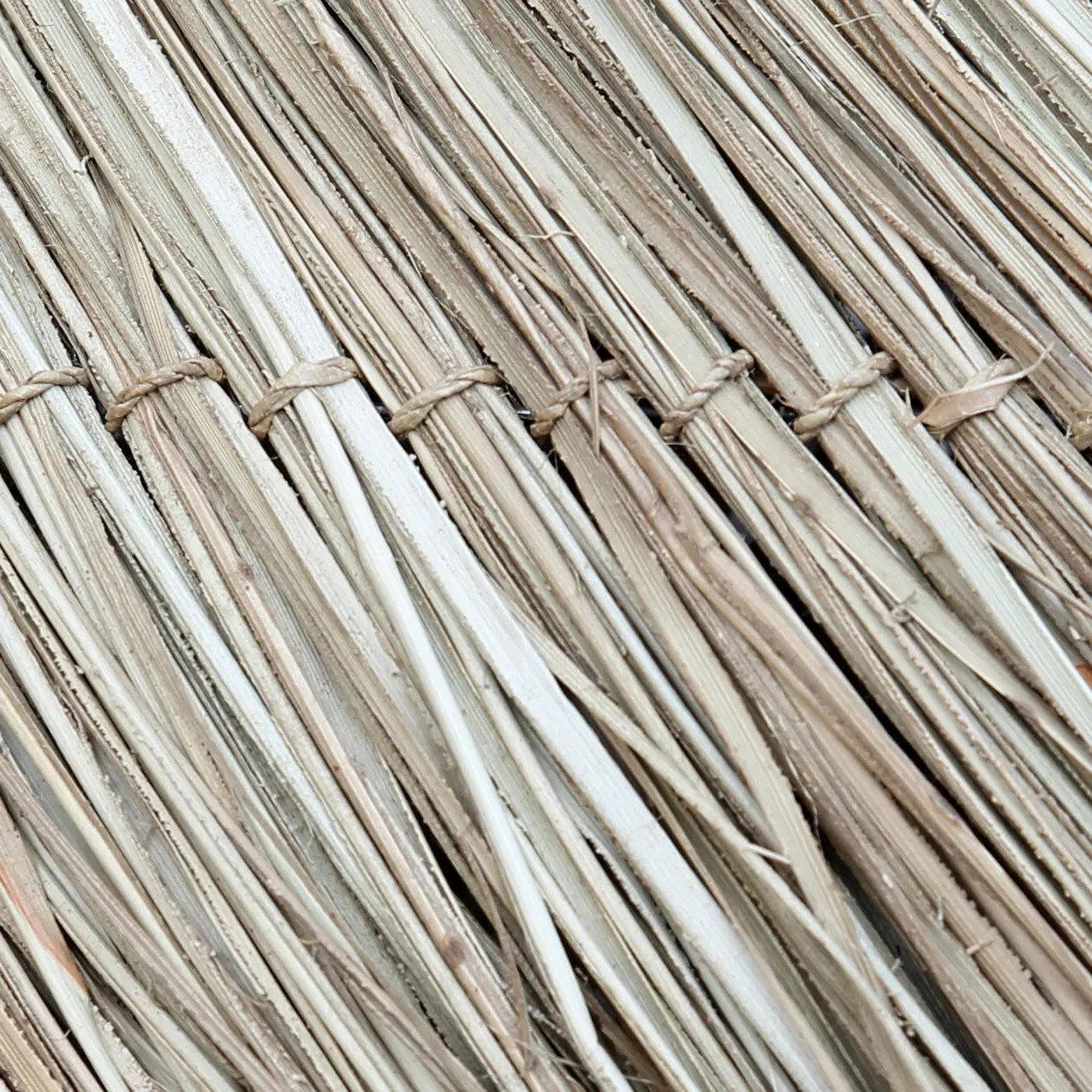 "The Wicked Pendant - Natural"