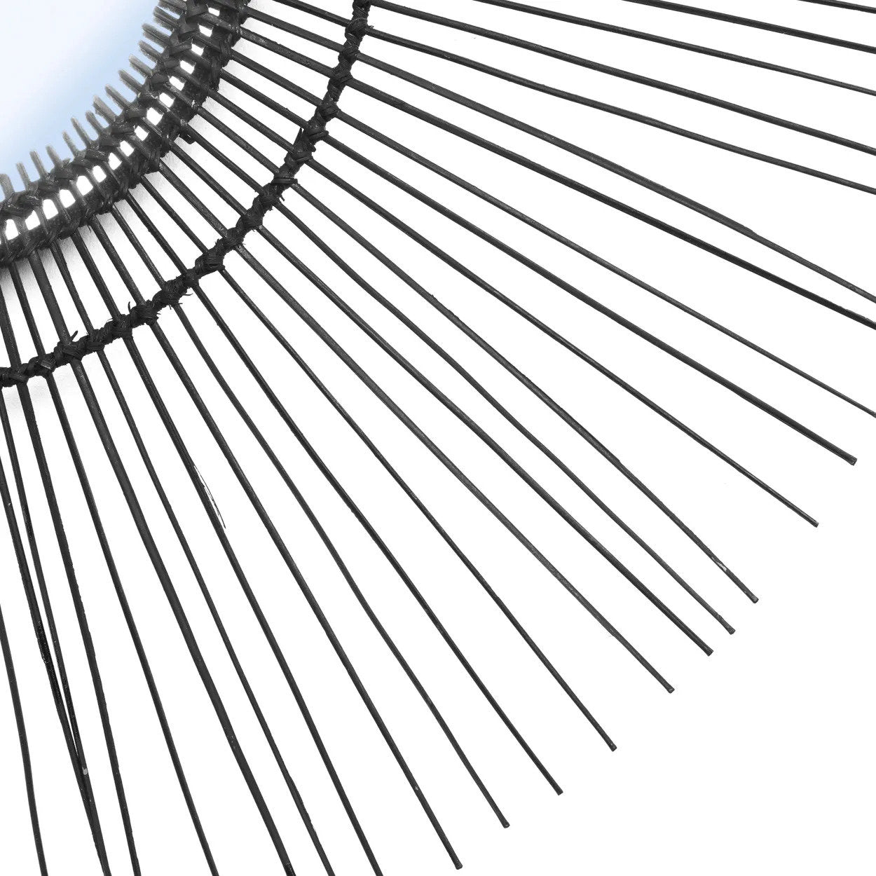 The Tropical Mirror - Black - L_40