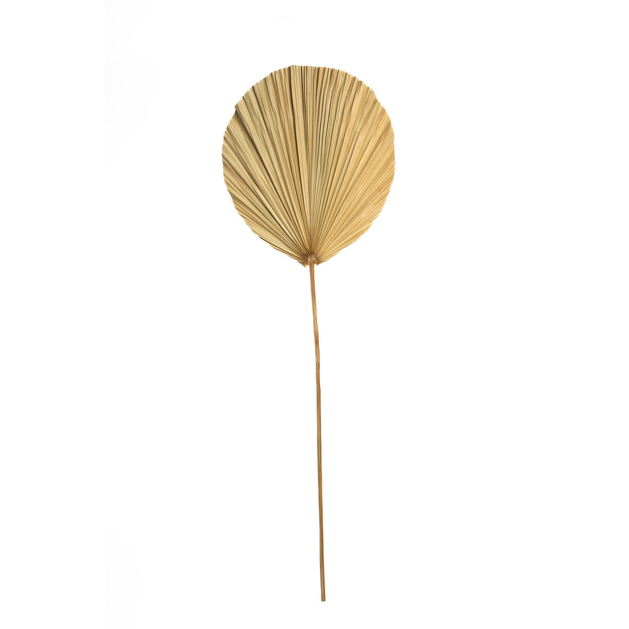 "The Rayung Leaf - Natural"