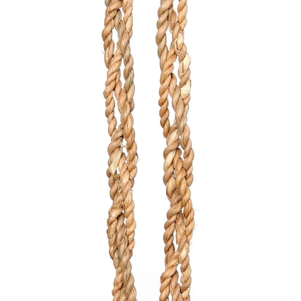 The Vanilla Shell Tassel