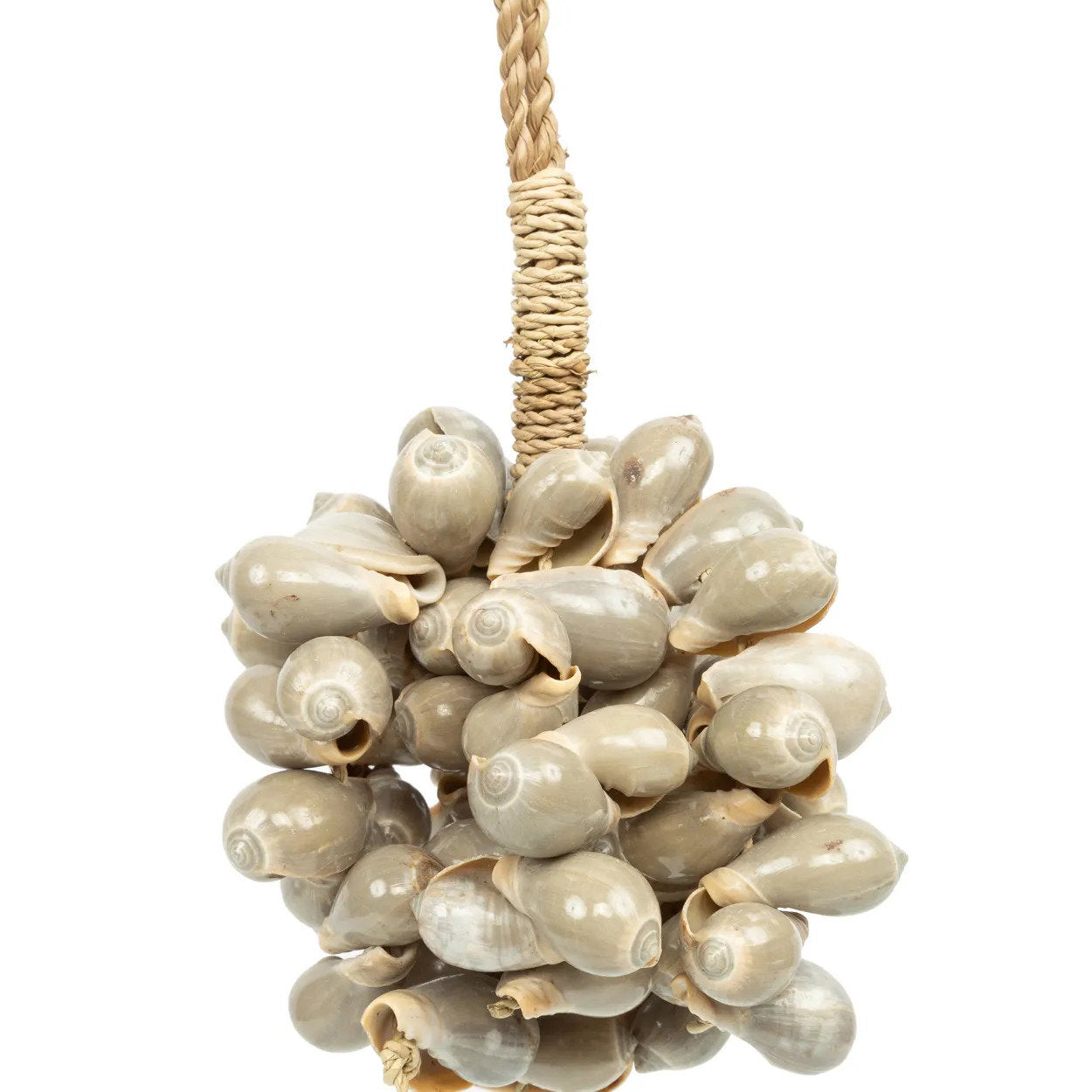 "The Grey Shell Tassel"