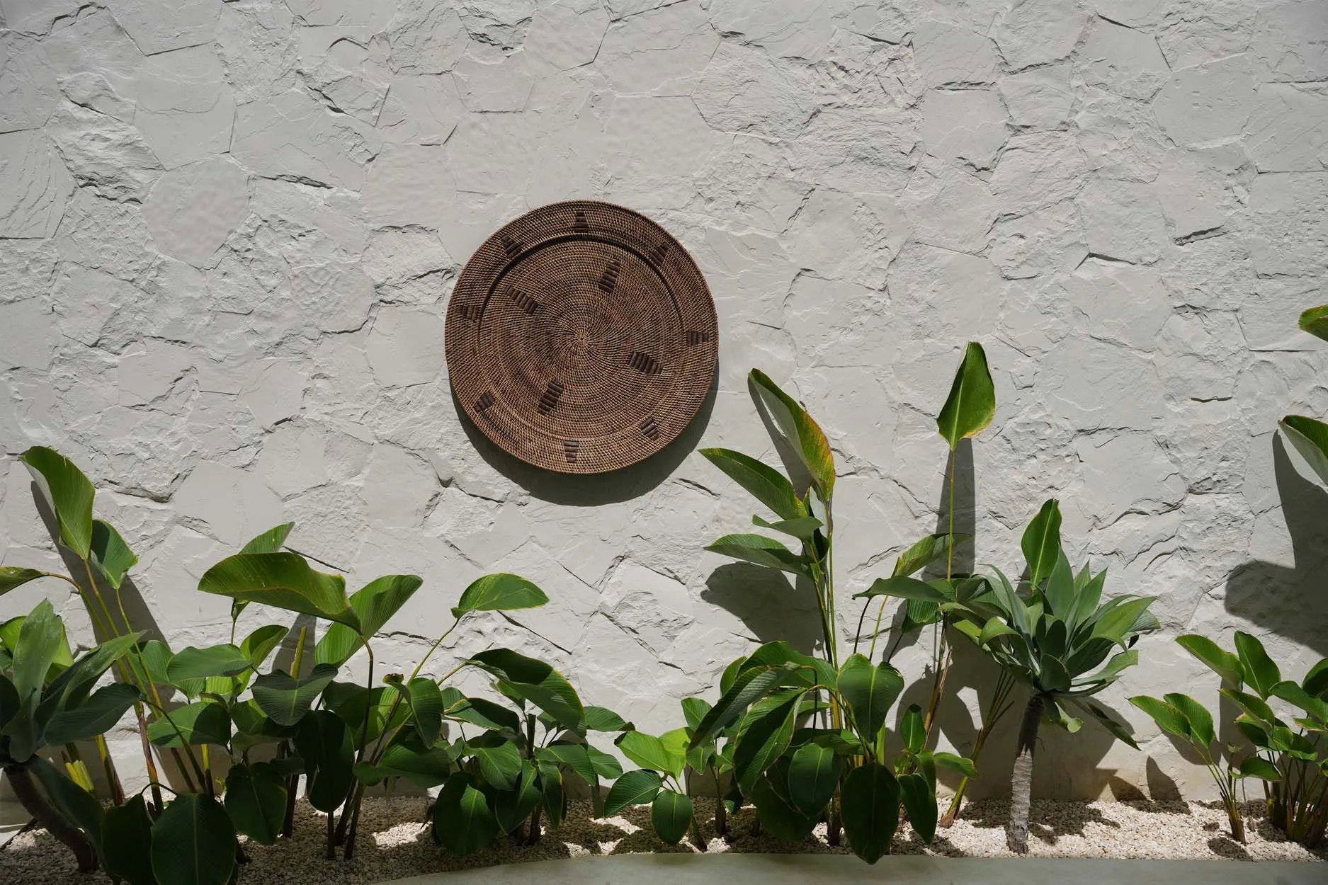 The Jasmine Plate - Brown - XL