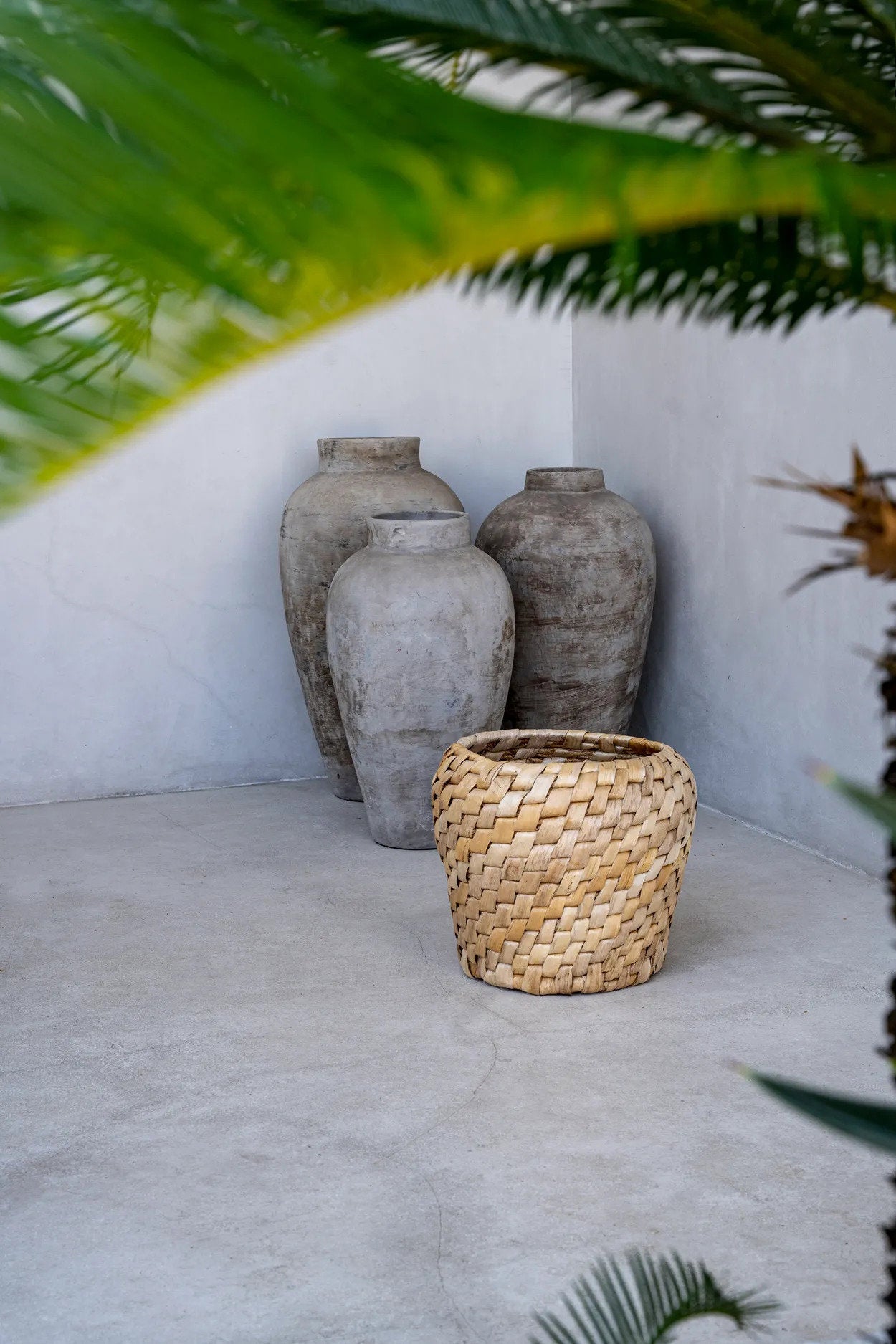 "The Chidi Basket"
