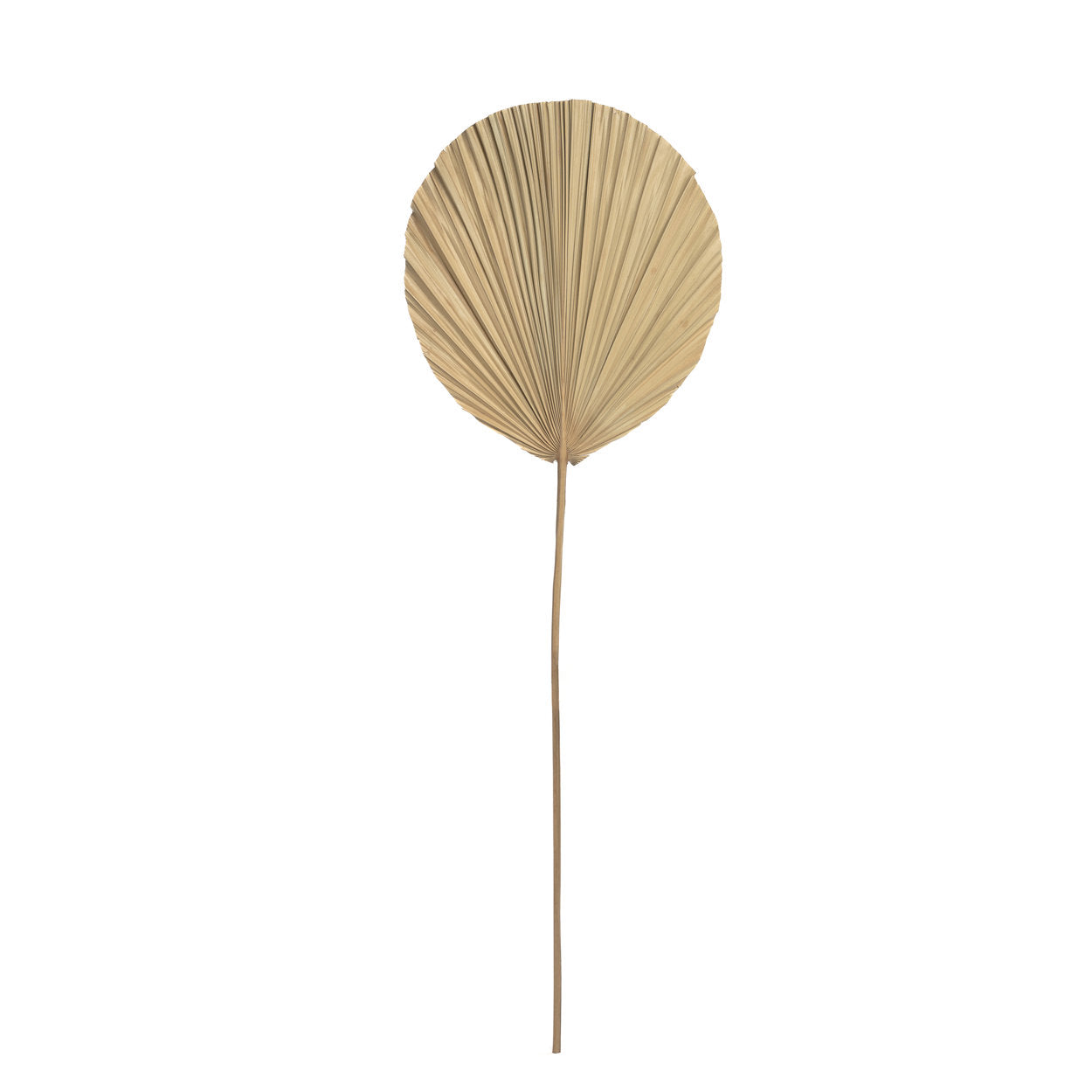 "The Rayung Leaf - Natural"
