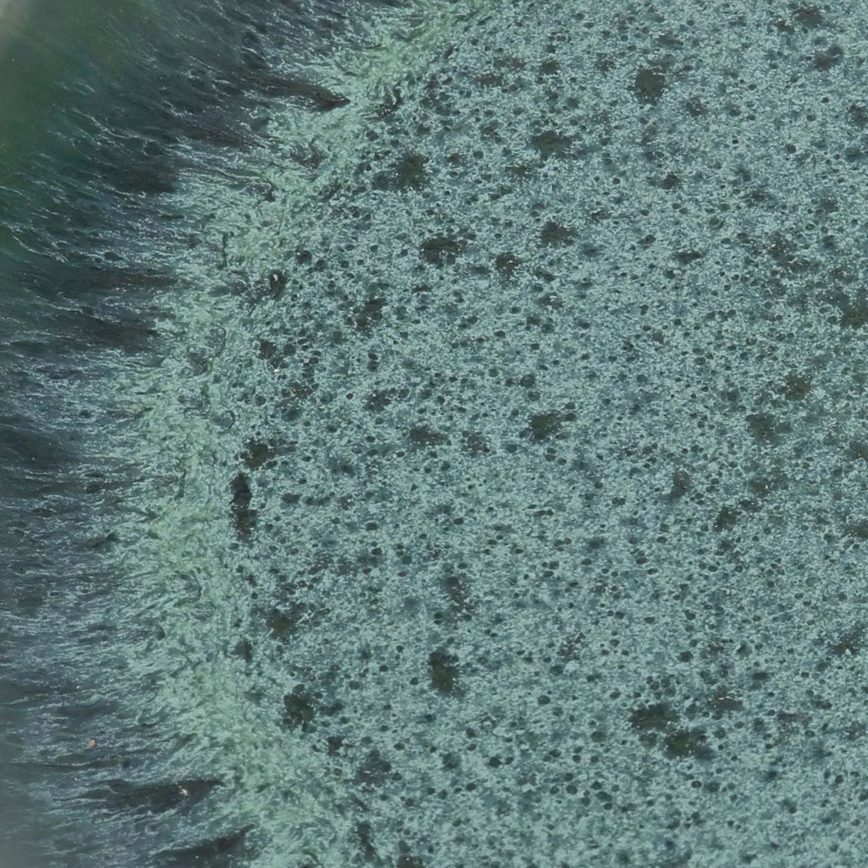 The Aqua Dinner Plate - Set of 4